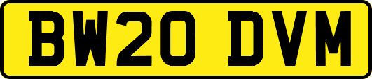 BW20DVM