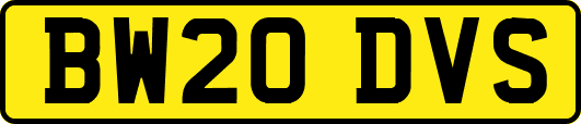 BW20DVS