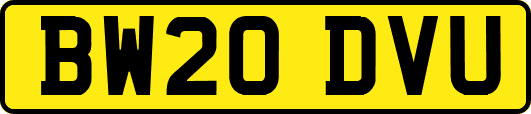 BW20DVU