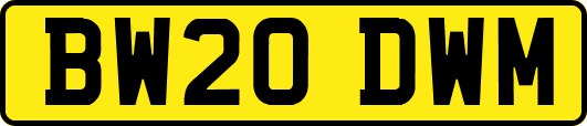 BW20DWM