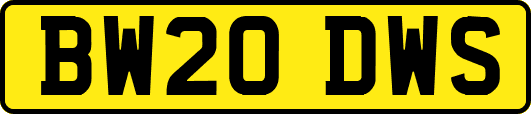 BW20DWS