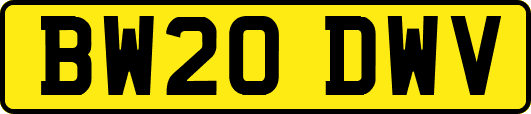 BW20DWV