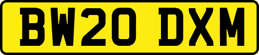 BW20DXM
