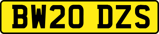 BW20DZS