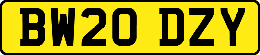 BW20DZY