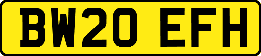 BW20EFH