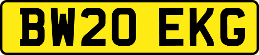 BW20EKG
