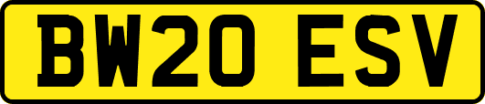 BW20ESV