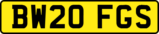 BW20FGS