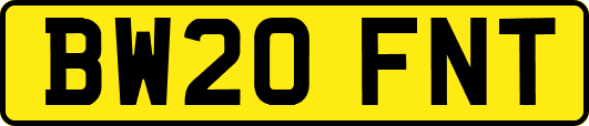 BW20FNT