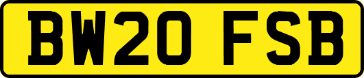 BW20FSB