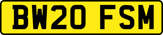 BW20FSM