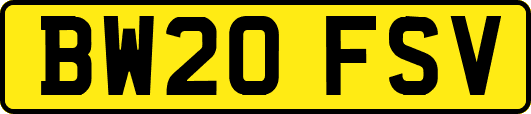 BW20FSV