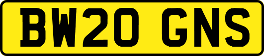 BW20GNS
