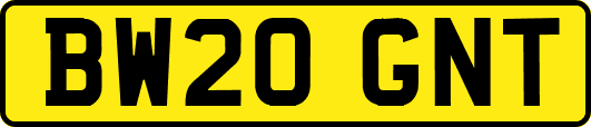 BW20GNT
