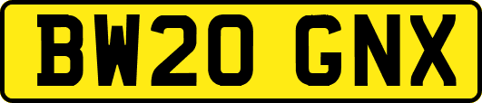 BW20GNX