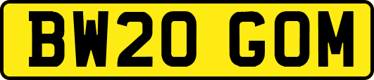 BW20GOM