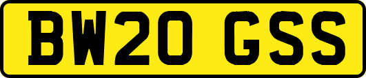 BW20GSS