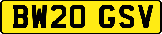 BW20GSV
