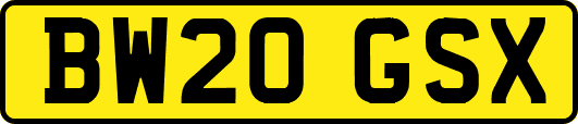 BW20GSX