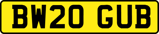 BW20GUB