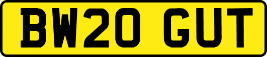BW20GUT