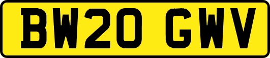 BW20GWV