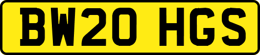 BW20HGS