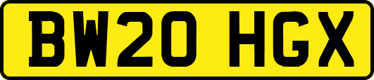 BW20HGX