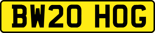 BW20HOG