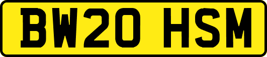 BW20HSM