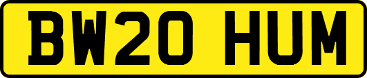 BW20HUM