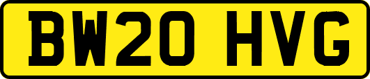 BW20HVG