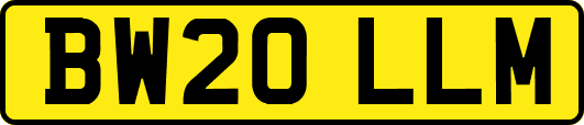 BW20LLM