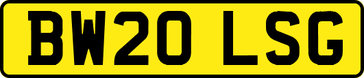 BW20LSG