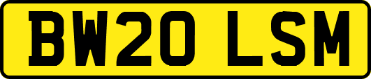 BW20LSM