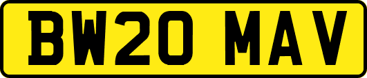 BW20MAV