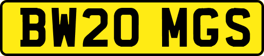 BW20MGS