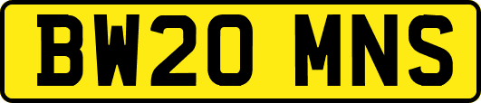 BW20MNS