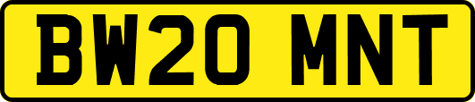 BW20MNT