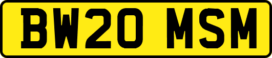 BW20MSM