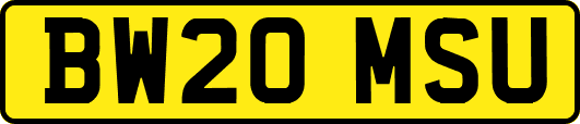 BW20MSU