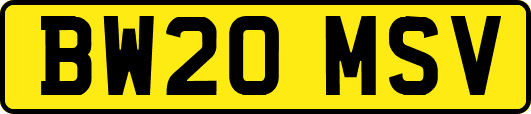 BW20MSV