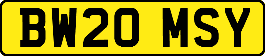 BW20MSY