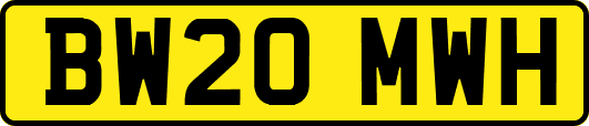 BW20MWH
