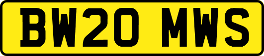 BW20MWS