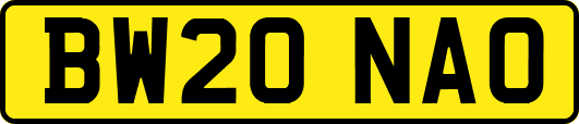 BW20NAO