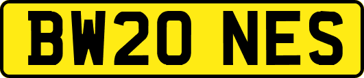 BW20NES