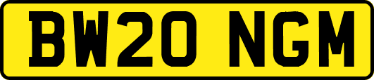 BW20NGM