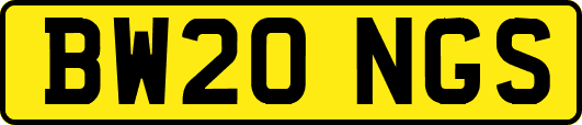 BW20NGS